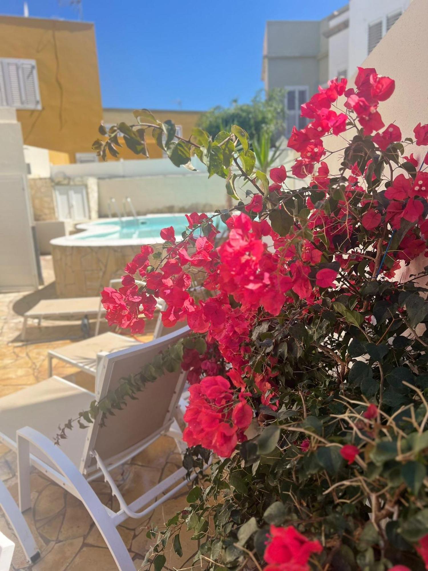 Hidden Paradise San Bartolomé 外观 照片